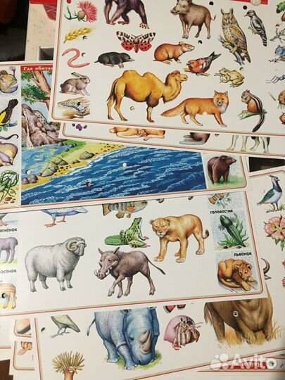 Электронная викторина 