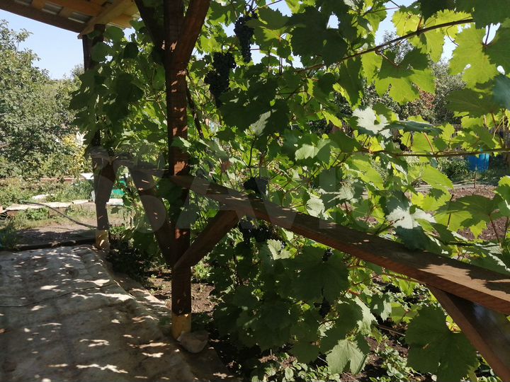 Дача 17,5 м² на участке 5 сот.