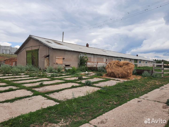 Производство кумыса