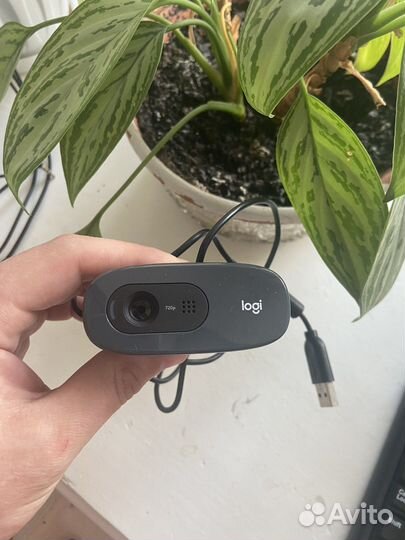 Веб-камера Logitech