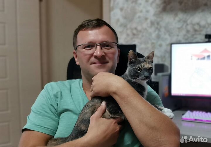 Помощь студентам в учёбе. Оформлю курсовую, вкр