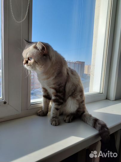 Вязка