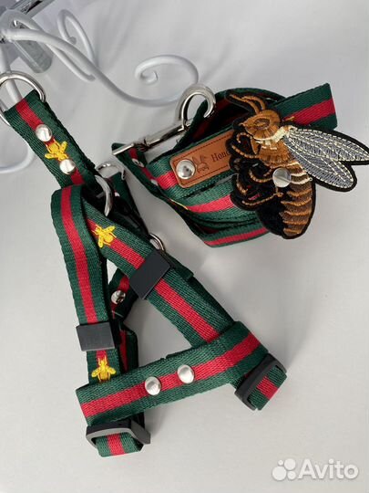 Шлейка и поводок Gucci