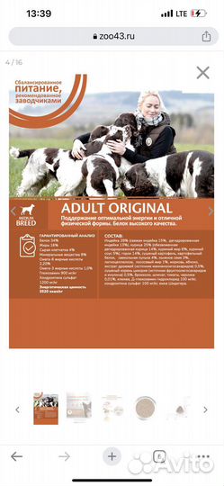 Корм для собак