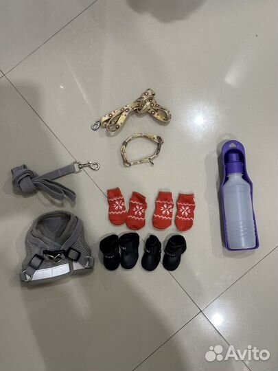 Все для маленьких собак/йорк/той-терьер/чихуа