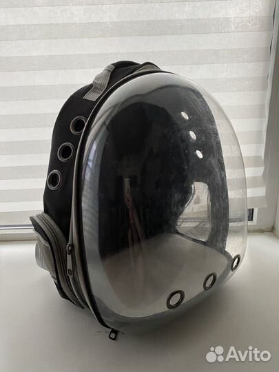 Рюкзак для кота