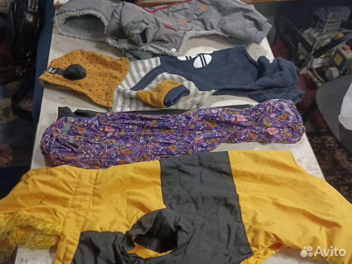 Одежда для собак такса