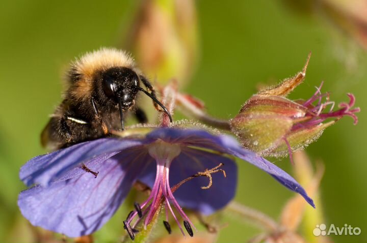 Фотограф TFP