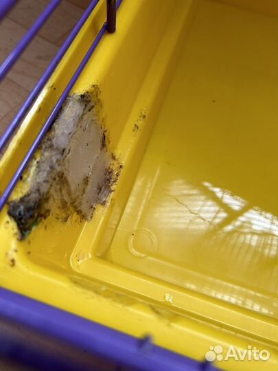 Клетка для грызунов шиншилл дегу