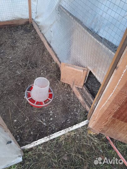 Курятник с выгулом