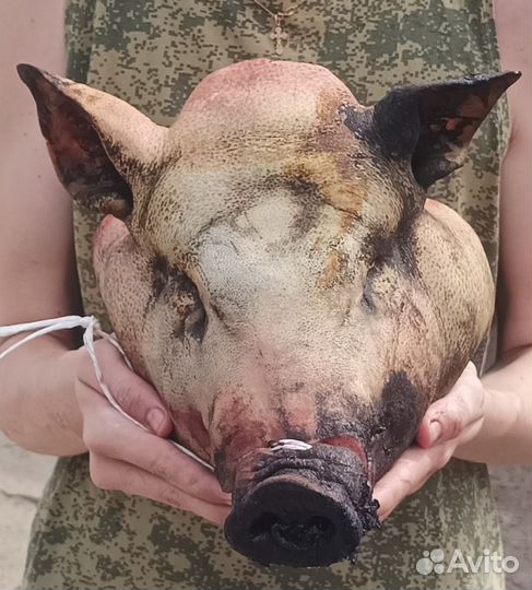 Вьетнамские свиньи