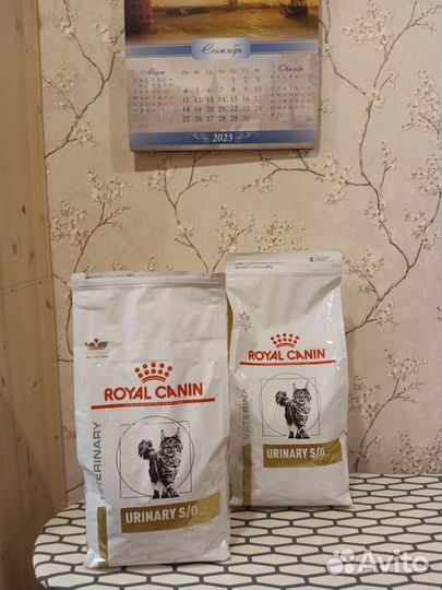 Royal canin