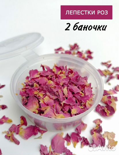 Сухоцветы для творчества, для свечей