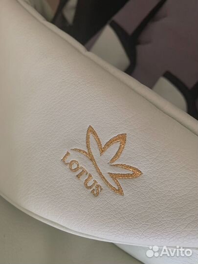 Детская коляска Lotus Эко кожа 2в1