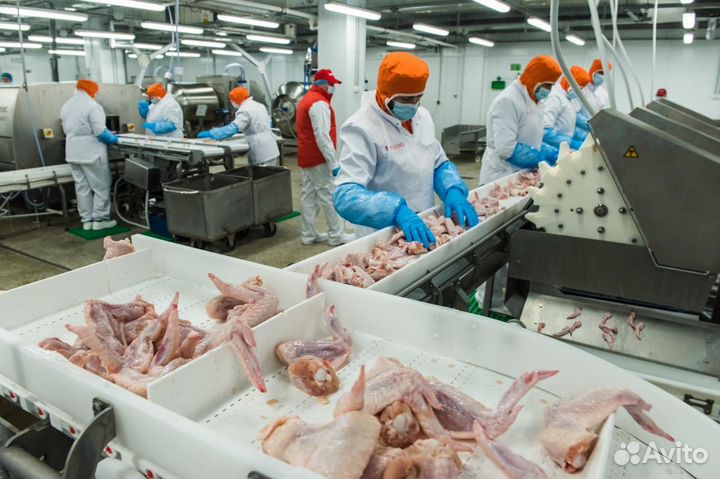 Вахта Работник по уходу за птицами на фабрике