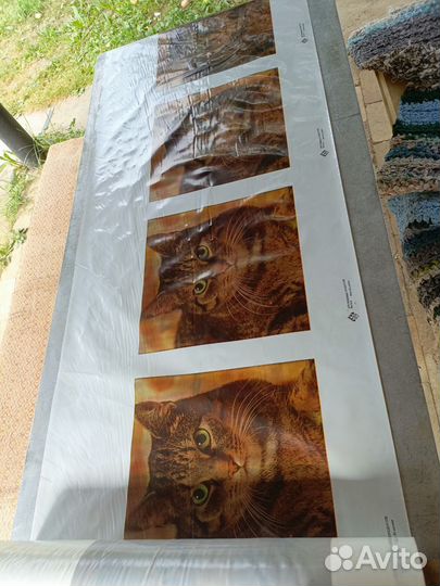 Пакет СССР новые