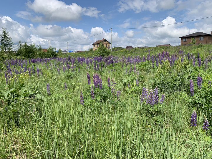 Участок 12,3 сот. (ИЖС)