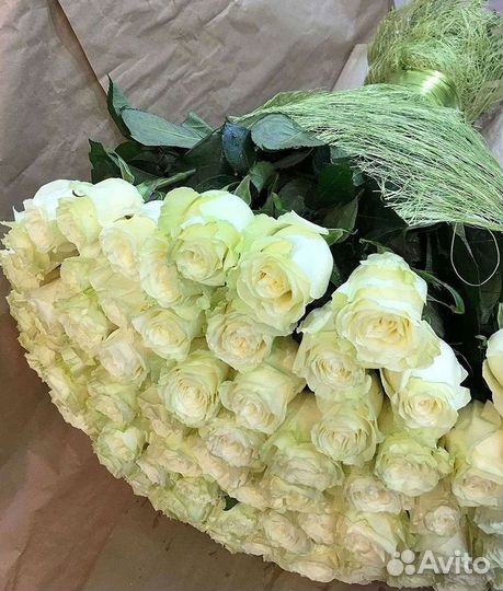 Высокие розы Гигантские розы Доставка цветов