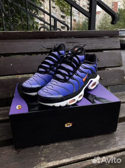 Nike tn purple online og