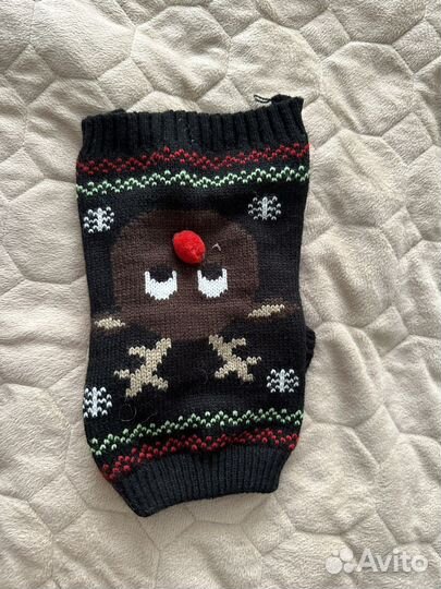 Одежда для собак мелких пород