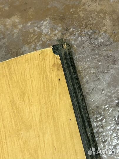 Няня Ланей Корвина