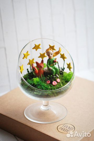 Флорариум моссариум подарок Маленький принц