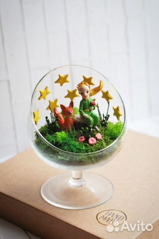 Флорариум моссариум подарок Маленький принц