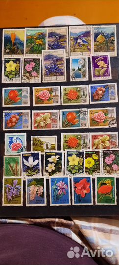 Почтовые марки СССР