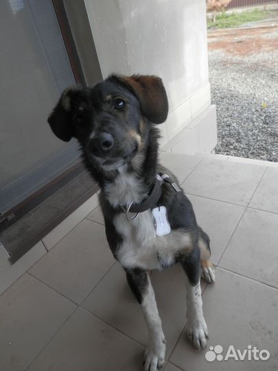 Помогите найти