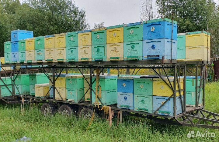 Пчелоприцеп