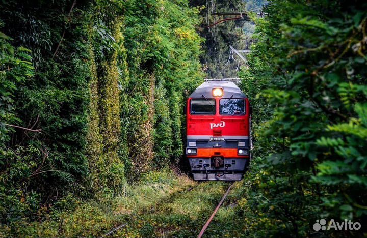 Туры на поезде в Абхазию из Уфы