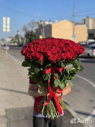 Роза 101шт 80см