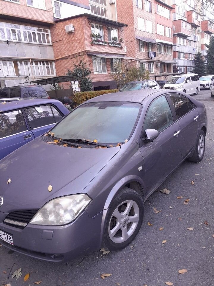 Nissan Primera: фото владельца