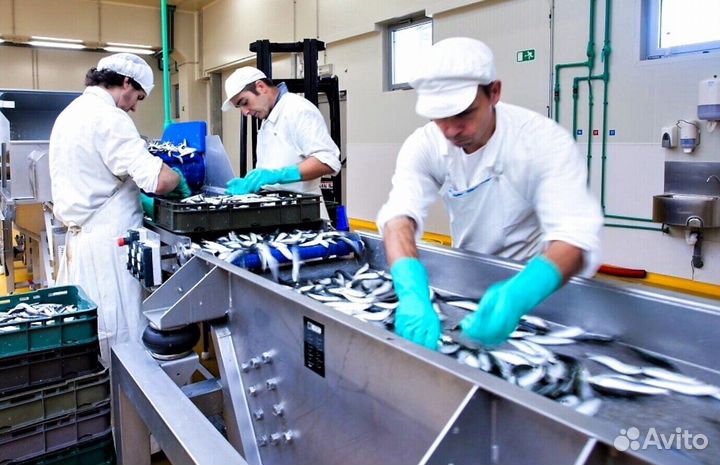 Разнорабочий вахта с питанием