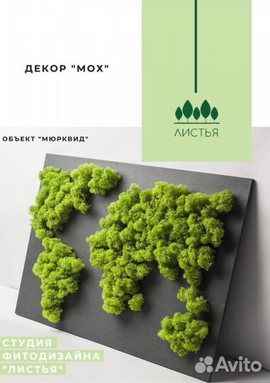 Композиции из мха на заказ