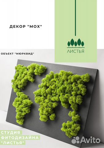 Композиции из мха на заказ