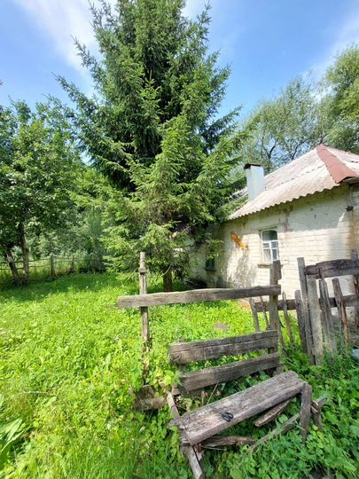 Дом 53 м² на участке 50 сот.