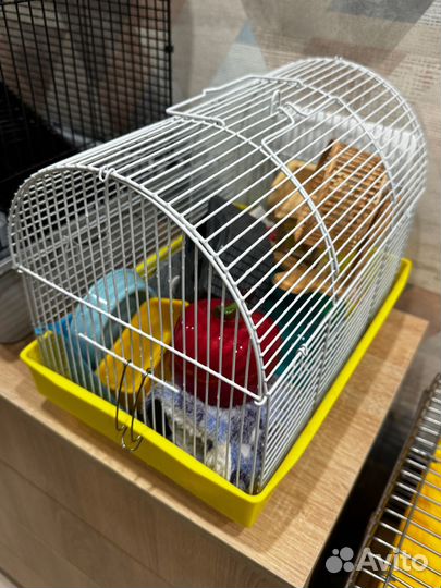 Клетка для хомяка
