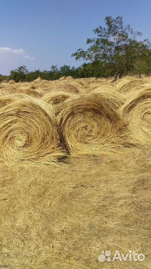 Продажа сена в рулонах