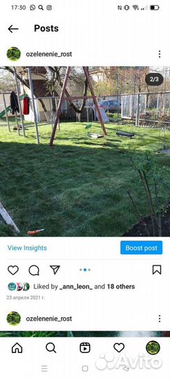 Рулонный/Посевной Донской газон