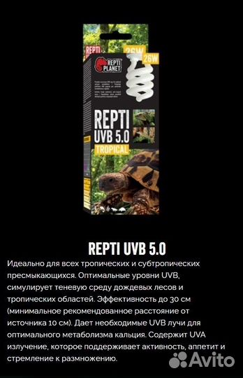 Лампы для рептилий