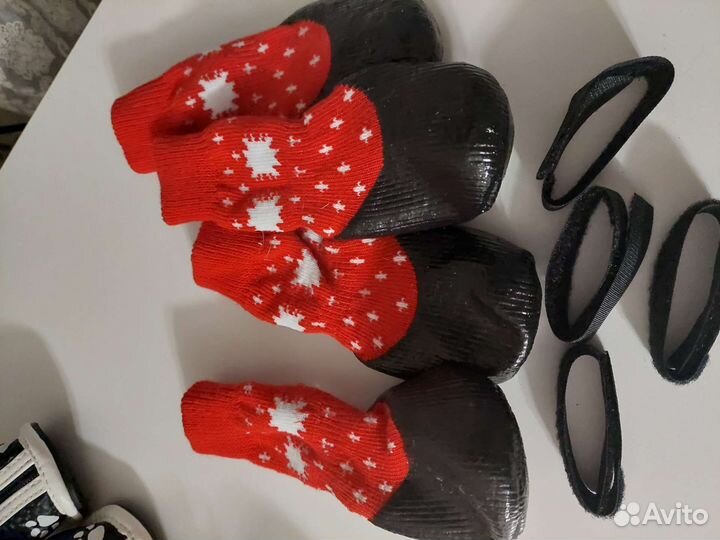 Носки для собак