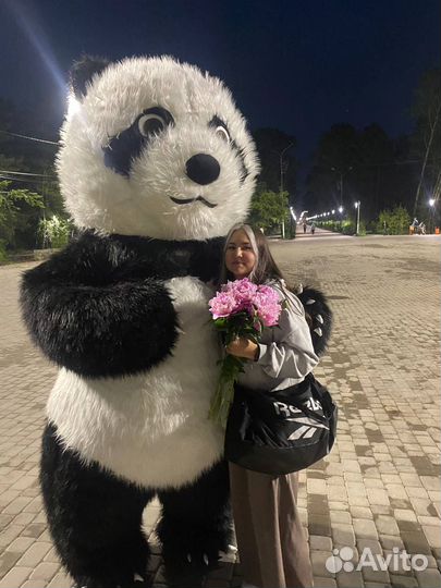 Мишка панда на праздник