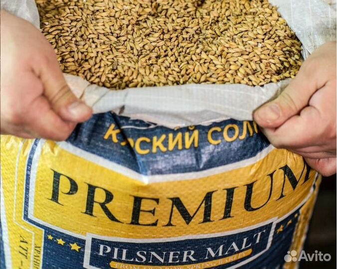 Солод Курский