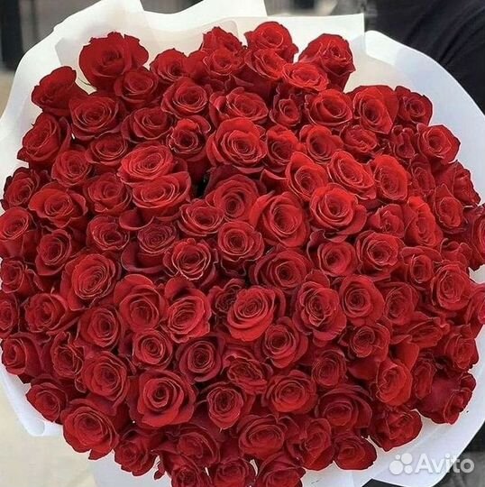 Высокие розы Гигантские розы Доставка цветов