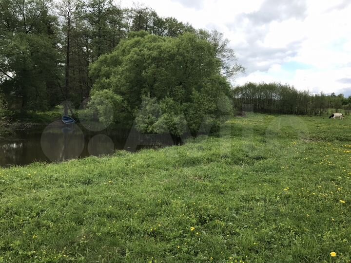 Участок 10 сот. (ИЖС)