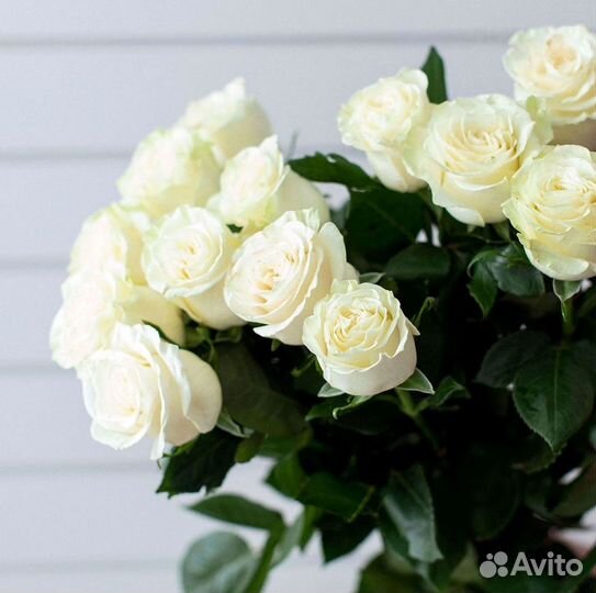 Розы Цветы Букеты 25 151 201 101 301 501 опт