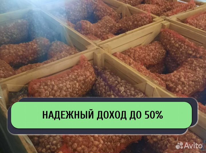 Ищем инвестора / Доход до 50%