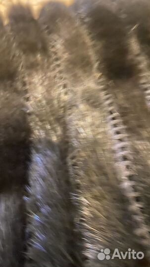Шуба/ норка