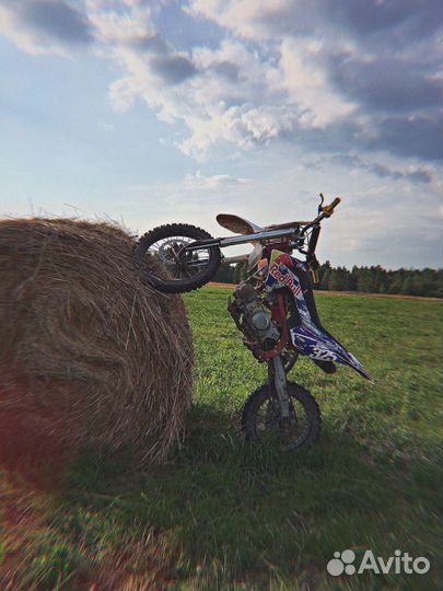 BSE MX 150 (2019)